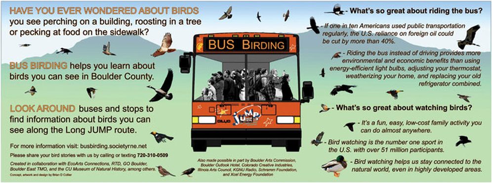 Bus-Birding-Bus