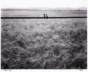 Charles Roitz Photographs