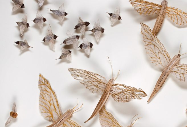 Jill Powers