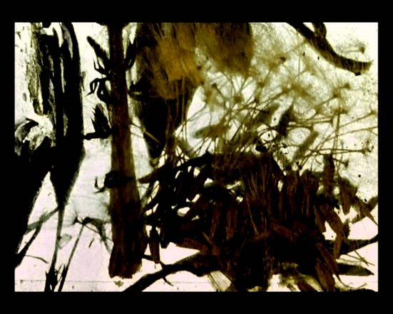 Stan Brakhage