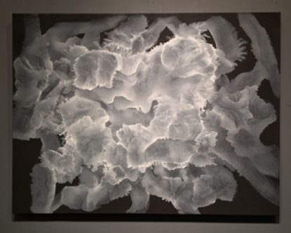 Sue Carol Robinson